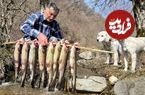 (ویدئو) پخت متفاوت ماهی قزل آلا به شیوه یک خانواده آذربایجانی در روستایی بهشتی