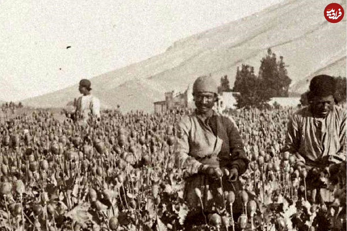 سفر در زمان؛ تریاک ایران در جهان همتا ندارد؛ در عربستان مصر حشیش مصرف می کنند
