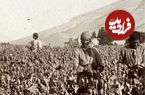 سفر در زمان؛ تریاک ایران در جهان همتا ندارد؛ در عربستان مصر حشیش مصرف می کنند