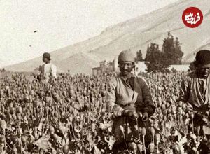 سفر در زمان؛ تریاک ایران در جهان همتا ندارد؛ در عربستان مصر حشیش مصرف می کنند