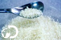 ببینید؛ شکر چگونه تولید می شود؟