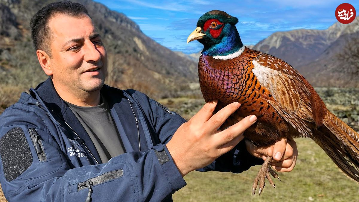 ببینید؛ غذای روستایی در آذربایجان؛ پخت یک غذای سنتی با قرقاول