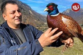 ببینید؛ غذای روستایی در آذربایجان؛ پخت یک غذای سنتی با قرقاول