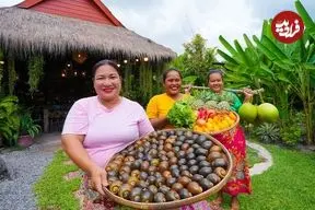 ببینید| غذای روستایی در سنگاپور؛ پخت غذا با حلزون، گوجه‌، پیاز و آناناس در طبیعت