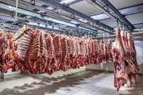 وضعیت تامین گوشت چگونه است؟