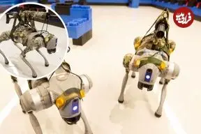 چین نسل جدیدی از سگ‌های رباتیک را برای جنگ‌های هوشمند آزمایش کرد
