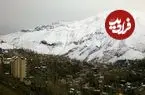 عکس| سفر به ایران قدیم؛ زغال‌فروشها با الاغ و قاطر در «میگون»؛ سال 1312