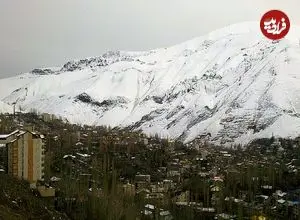 عکس| سفر به ایران قدیم؛ زغال‌فروشها با الاغ و قاطر در «میگون»؛ سال 1312