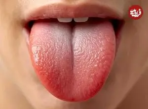 همه چیز درباره مهندسی بی نظیر زبان انسان + اینفوگرافیک