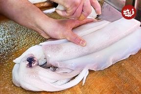 ببینید؛ غذای خیابانی در ژاپن؛ تهیه ساشیمی و غذاهای متنوع با ماهی مرکب در اوکیناوا