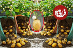 (ویدئو) روش خلاقانه کشاورز چینی برای پرورش همزمان سیب زمینی و بادمجان در خانه