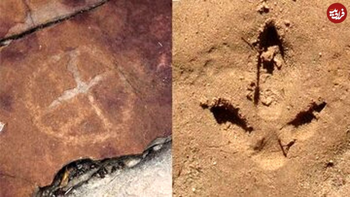 (عکس) کشف سنگ‌نگاره‌هایی از انسان‌های ماقبل تاریخ در کنار ردپای دایناسورها