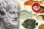ارسطو چگونه به شکل‌گیری «زیست‌شناسی» کمک کرد؟