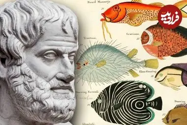 ارسطو چگونه به شکل‌گیری «زیست‌شناسی» کمک کرد؟