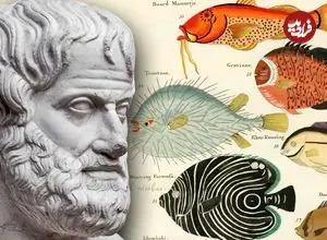 ارسطو چگونه به شکل‌گیری «زیست‌شناسی» کمک کرد؟