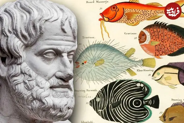 ارسطو چگونه به شکل‌گیری «زیست‌شناسی» کمک کرد؟