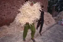 (ویدئو) چوب بستنی چگونه در کارگاه تولید می شود؟
