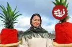 ببینید| غذای روستایی در اوکراین؛ پخت یک غذای خاص با دنده گاو و آناناس