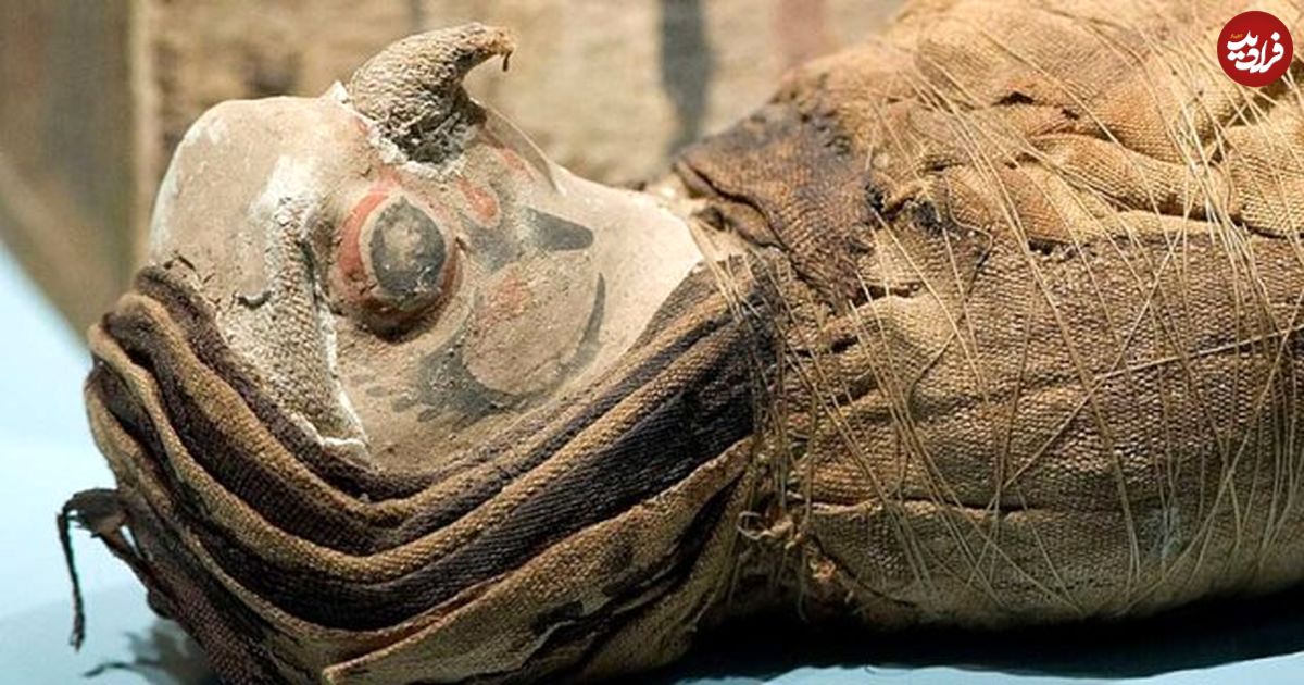 یافته‌های جدید درباره معبد شاهین‌های باستانی بدون سر در مصر!