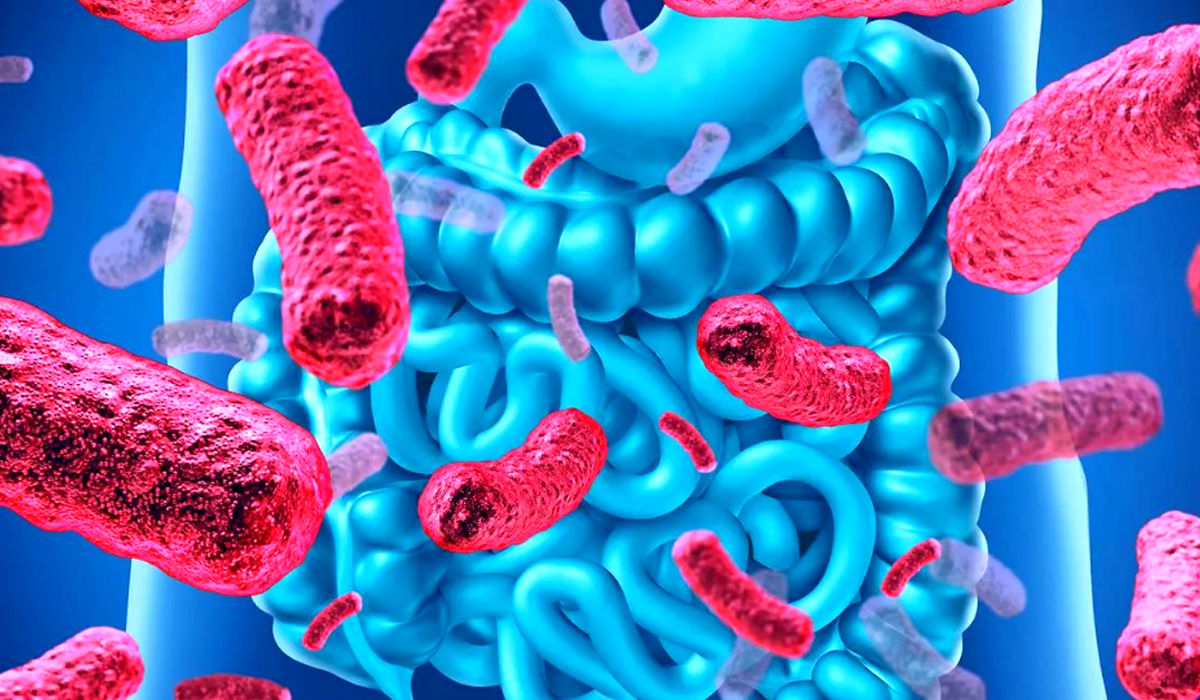 شناسایی باکتری روده‌ای که به انسان‌ عمر 100 ساله می‌دهد!