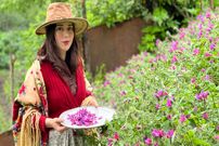 ببینید؛ غذای روستایی در ایران؛ برداشت قارچ جنگلی و تهیه املت