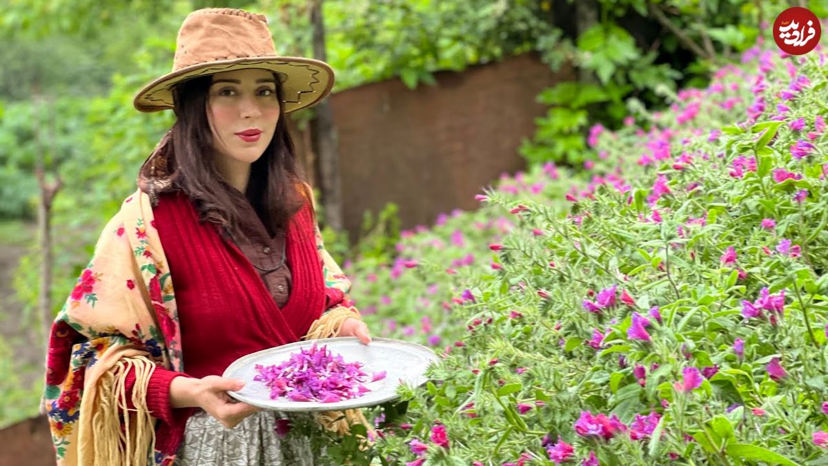 ببینید؛ غذای روستایی در ایران؛ برداشت قارچ جنگلی و تهیه املت