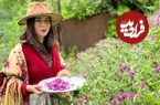 ببینید؛ غذای روستایی در ایران؛ برداشت قارچ جنگلی و تهیه املت