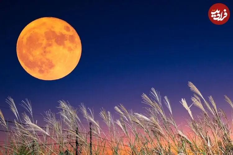 آسمان شهریور: از ماه خرمن و زهره درخشان تا زحل کم نور