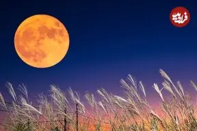 آسمان شهریور: از ماه خرمن و زهره درخشان تا زحل کم نور