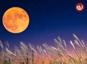 آسمان شهریور: از ماه خرمن و زهره درخشان تا زحل کم نور