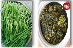 خورش تره کوهی؛ غذای محلی و بهاری مردم ایلام