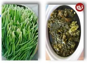 خورش تره کوهی؛ غذای محلی و بهاری مردم ایلام