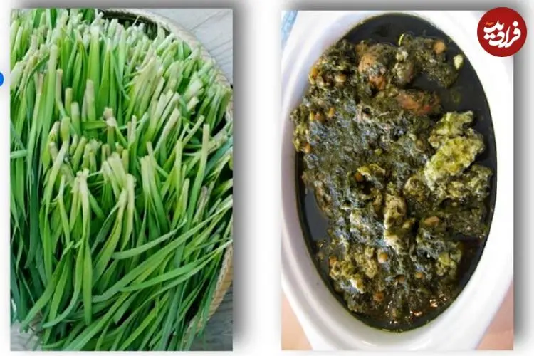 خورش تره کوهی؛ غذای محلی و بهاری مردم ایلام