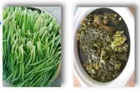خورش تره کوهی؛ غذای محلی و بهاری مردم ایلام