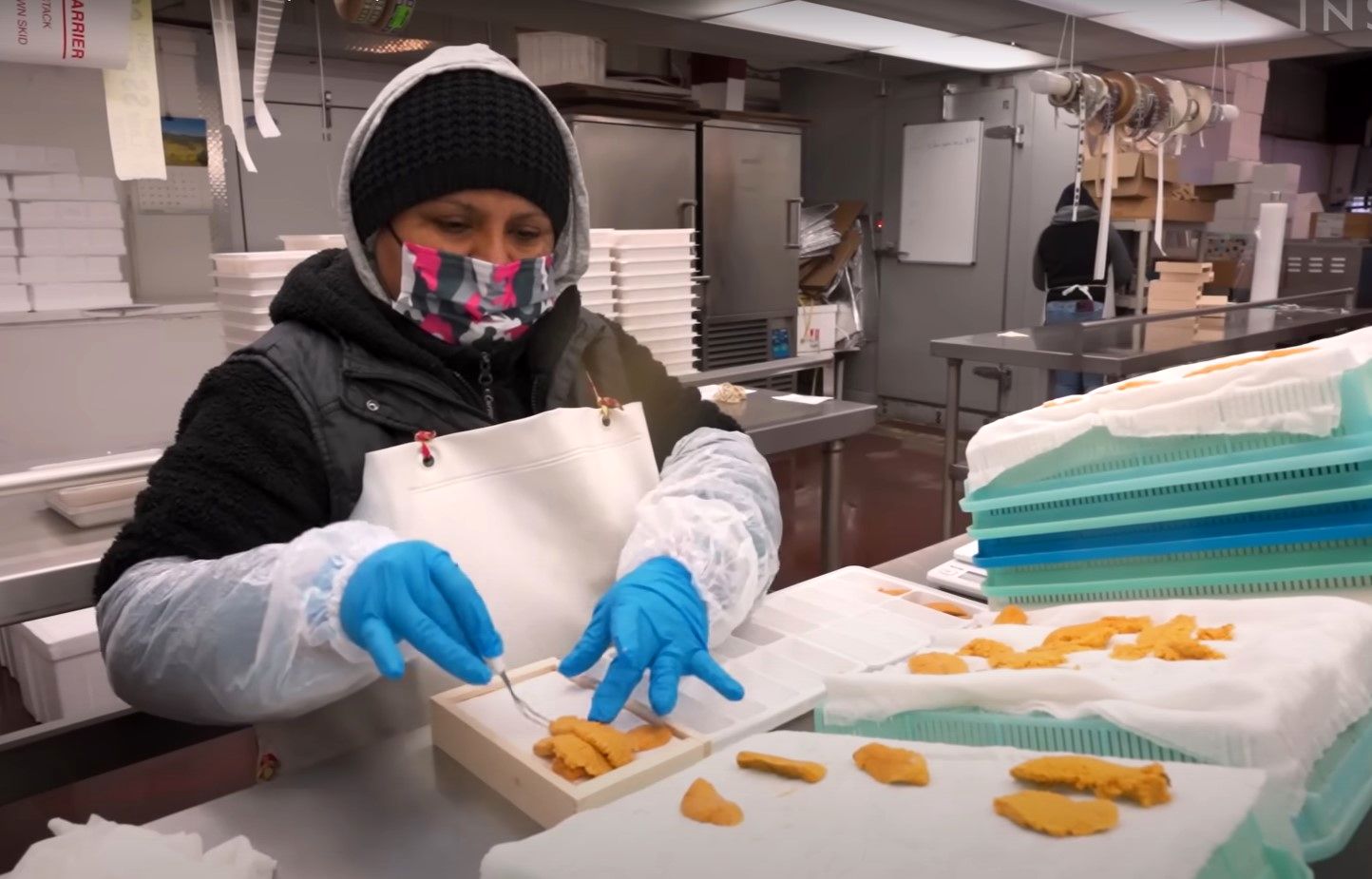(ویدئو) مراحل صید و فرآوری تخم خارپشت دریایی؛ هر کیلو از این خاویار 26 میلیون!