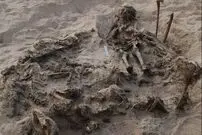 کشف گور مشترک یک کودک با ۱۴۲ سگ 
