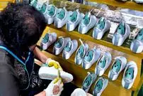 (ویدئو) فرآیند تماشایی تولید هزاران «کفش گلف» حرفه ای در یک کارخانه معروف