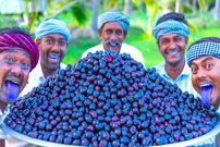 ببینید؛ غذای روستایی در هند؛ تهیه مربا با 100 کیلو آلو سیاه در طبیعت