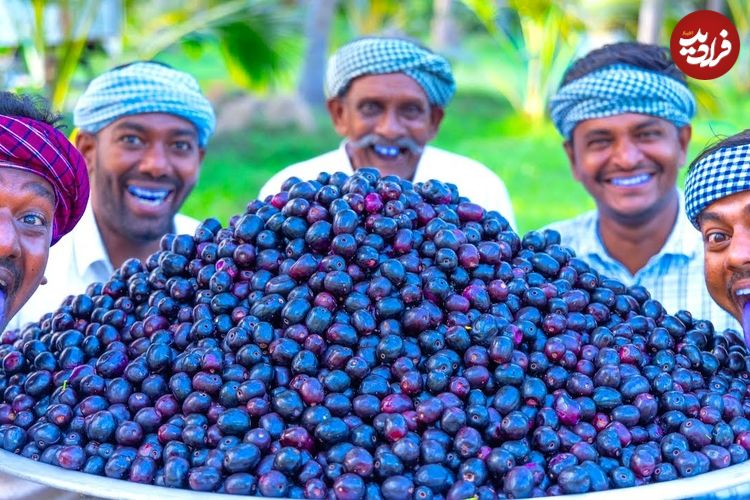 ببینید؛ غذای روستایی در هند؛ تهیه مربا با 100 کیلو آلو سیاه در طبیعت