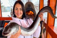 ببینید| غذای روستایی در اوکراین؛ پخت دو غذای متفاوت با مارماهی رودخانه ای