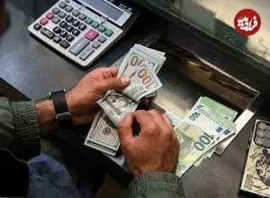 ۶ راهکار برای مقابله با افزایش قیمت دلار