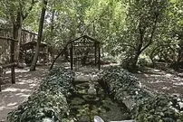 کدام محله تهران بیشترین باغ را داشت؟؛ از لویزان تا مبارک‌آباد
