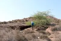 (عکس) ردپای انسان اولیه در جزیره‌ هرمز کشف شد