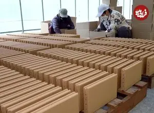 ببینید| فرآیند تماشایی تولید آجر با خاک رس در کارخانه ای در کره