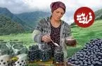 ببنیید| غذای روستایی در آذربایجان؛ برداشت آلو و تهیه کمپوت با آن و پخت خوراک مرغ در روستا