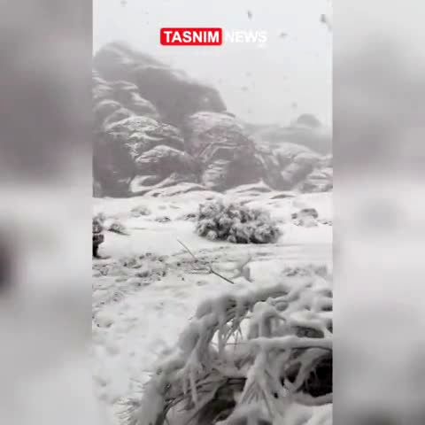 (ویدئو) بارش سنگین برف در شمال عربستان سعودی
