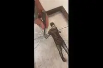 (ویدئو) وقتی تلفیق هنر و خلاقیت جذابیت می‌آفریند