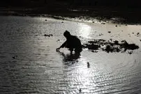 «زاینده رود» دوباره بی‌آب می‌شود