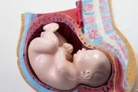 تصاویری شگفت انگیز از واکنش جنین در رحم مادر به مزه و بو