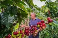 (ویدئو) نمایی تماشایی از یک مزرعه قهوه در کوبا